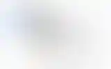 Blurred archive preview