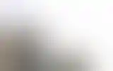 Blurred archive preview