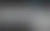 Blurred archive preview
