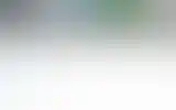 Blurred archive preview