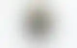 Blurred archive preview