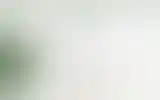 Blurred archive preview