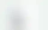 Blurred archive preview