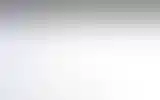 Blurred archive preview