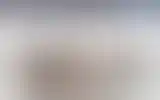 Blurred archive preview