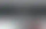 Blurred archive preview