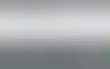 Blurred archive preview