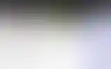 Blurred archive preview