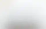 Blurred archive preview