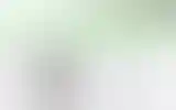 Blurred archive preview