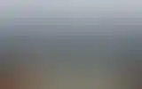 Blurred archive preview