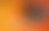 Blurred archive preview