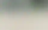 Blurred archive preview