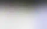 Blurred archive preview