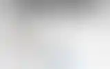 Blurred archive preview
