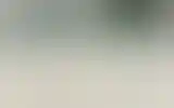 Blurred archive preview