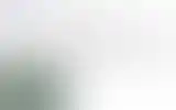 Blurred archive preview