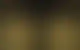 Blurred archive preview