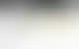 Blurred archive preview