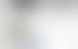 Blurred archive preview