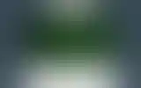 Blurred archive preview