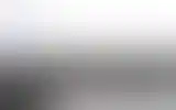 Blurred archive preview