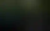 Blurred archive preview