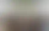 Blurred archive preview