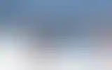 Blurred archive preview