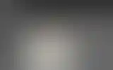 Blurred archive preview