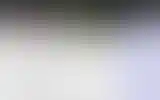 Blurred archive preview