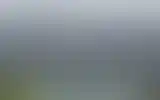 Blurred archive preview