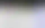Blurred archive preview