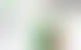 Blurred archive preview