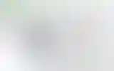 Blurred archive preview