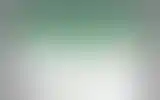 Blurred archive preview
