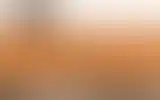 Blurred archive preview