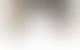 Blurred archive preview