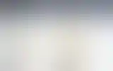 Blurred archive preview