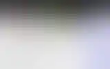 Blurred archive preview