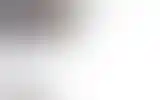 Blurred archive preview