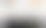 Blurred archive preview