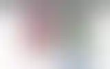 Blurred archive preview