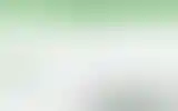 Blurred archive preview
