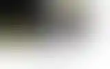 Blurred archive preview