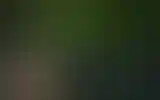 Blurred archive preview