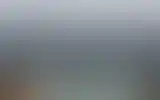 Blurred archive preview