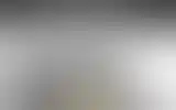 Blurred archive preview
