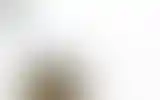 Blurred archive preview