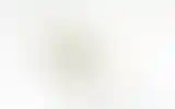 Blurred archive preview